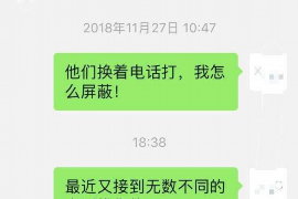 西固为什么选择专业追讨公司来处理您的债务纠纷？